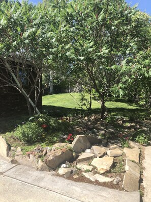 المنطقة المحيطة بالمنشأة