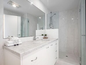 Combined shower/bathtub, hair dryer, towels