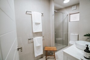 Shower, hair dryer, towels