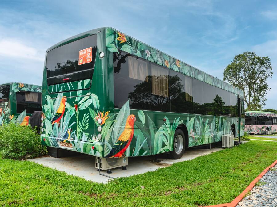 A bus with a tropical design, parked on a grassy area.