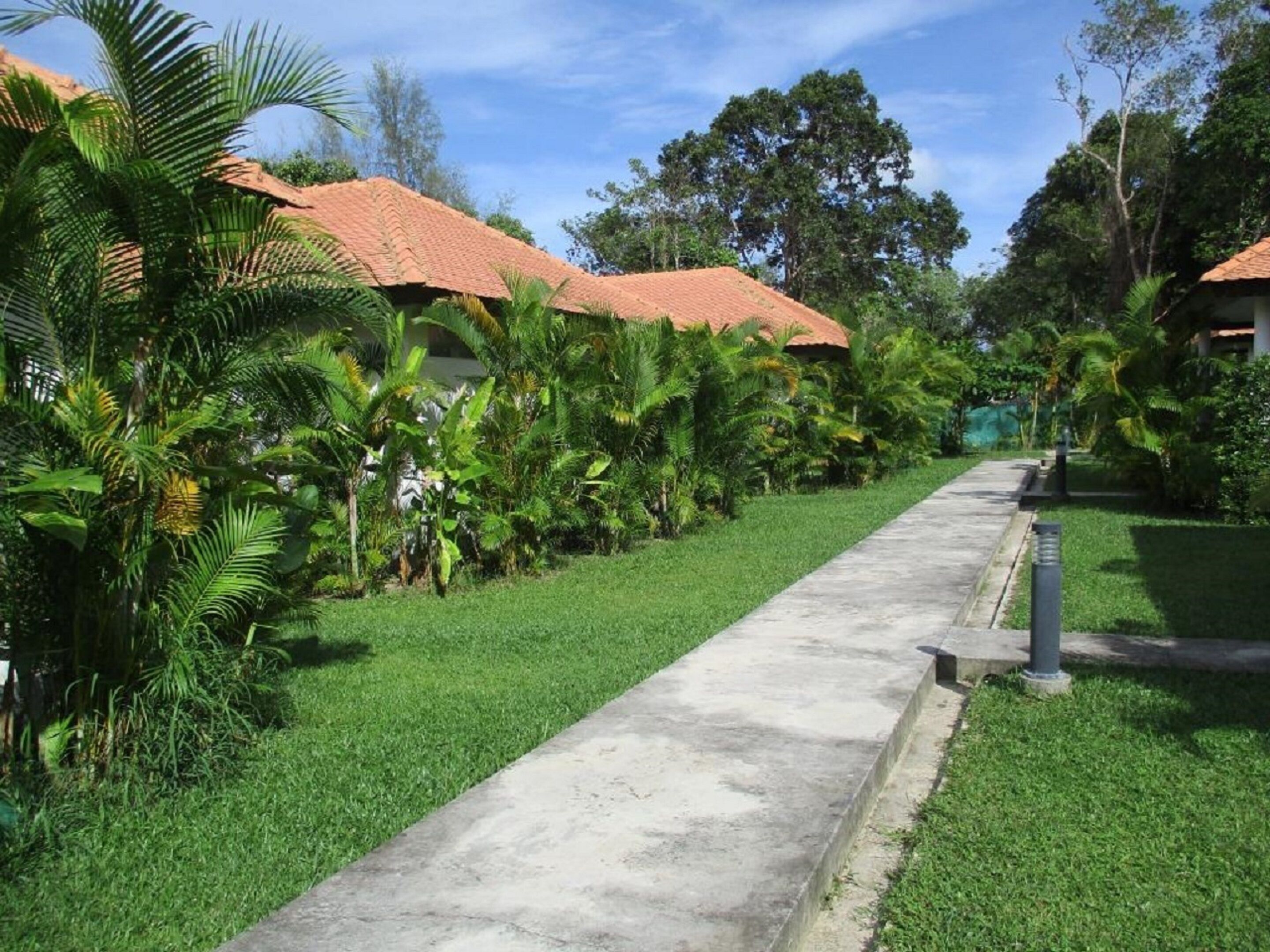 A pathway leading to a building with a red-tiled roof, surrounded by lush greenery and palm trees.