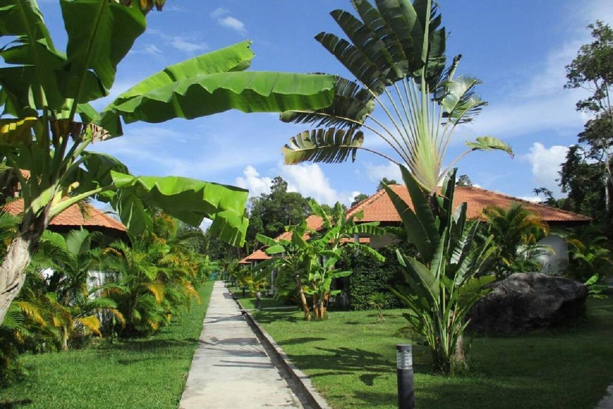 1 kamar tidur, seprai premium, bantalan ekstra lembut, dan minibar