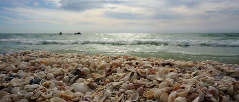 Strandtücher, Motorbootfahrt, Angeln
