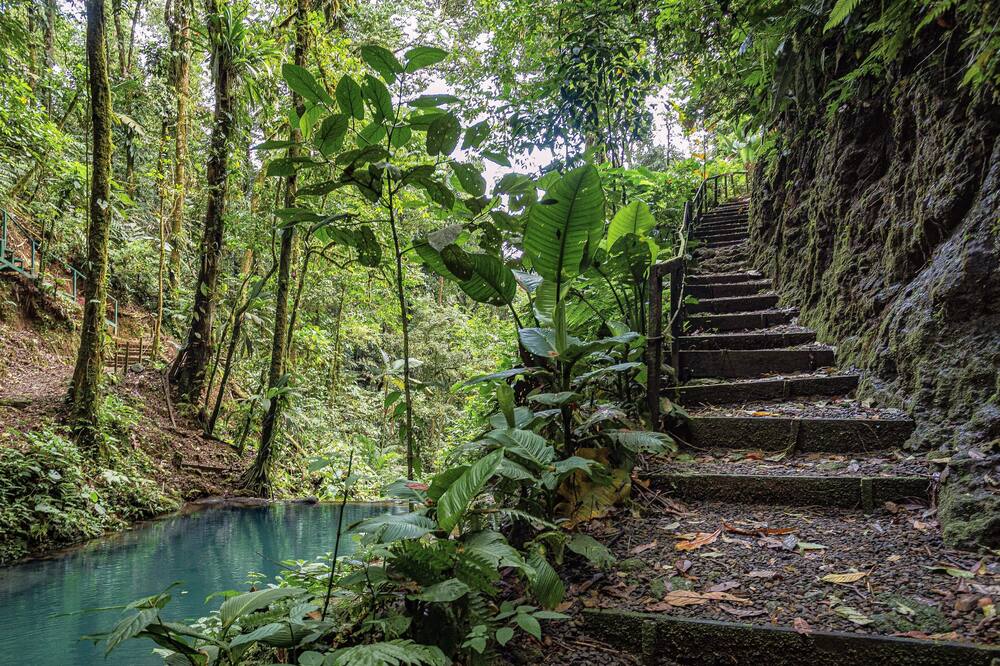Cabañas Caeli Rainforest Glass Cabin La Perezosa La Fortuna