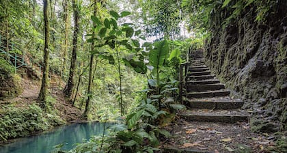 Cabañas Caeli Rainforest Glass Cabin La Perezosa La Fortuna