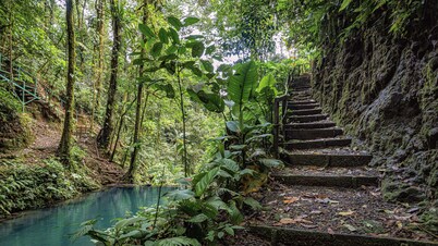 Cabañas Caeli Rainforest Glass Cabin La Perezosa La Fortuna