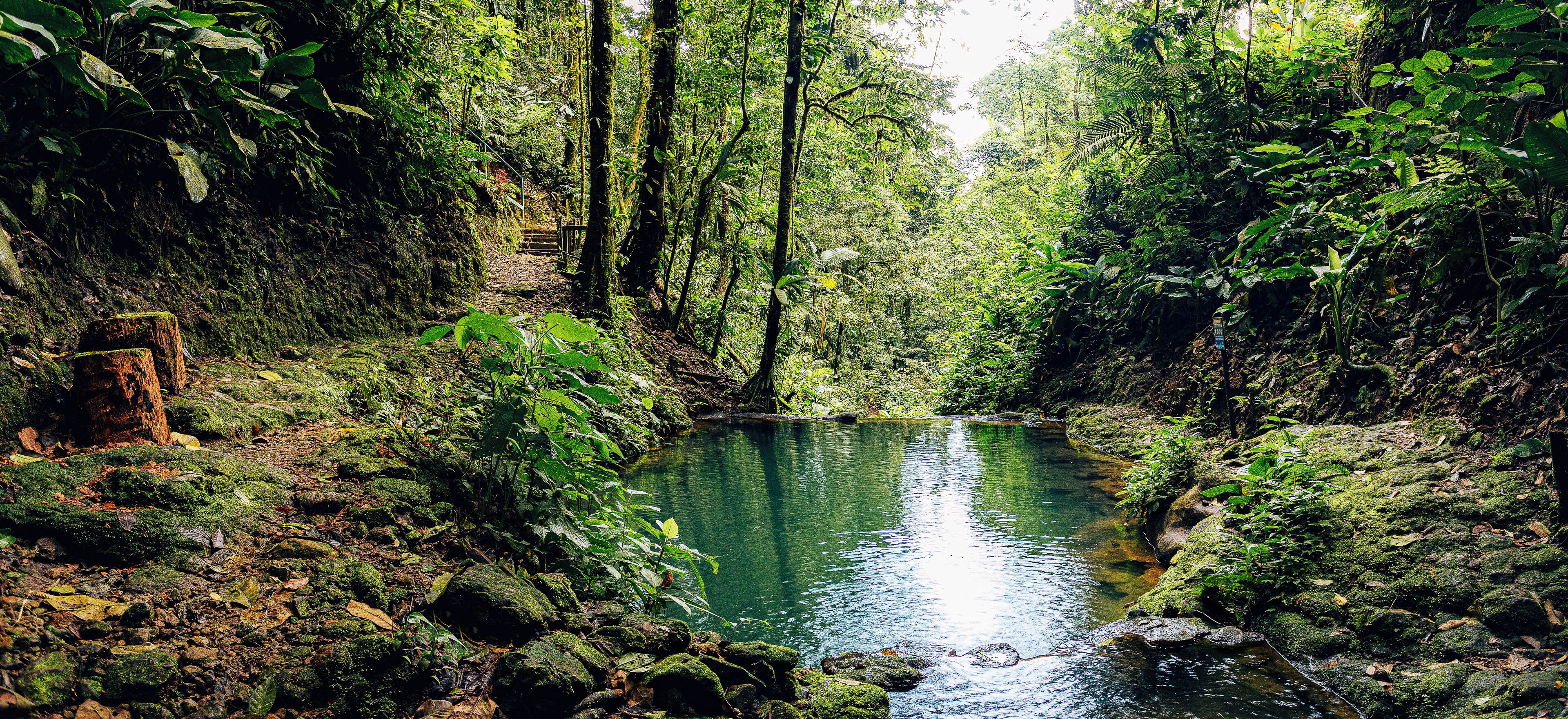 Natural pool