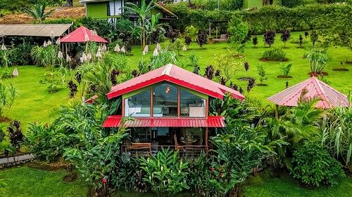 Cabañas Caeli Rainforest Glass Cabin La Perezosa La Fortuna
