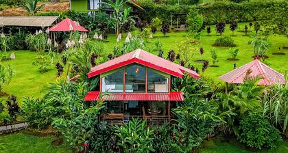 Cabañas Caeli Rainforest Glass Cabin La Perezosa La Fortuna