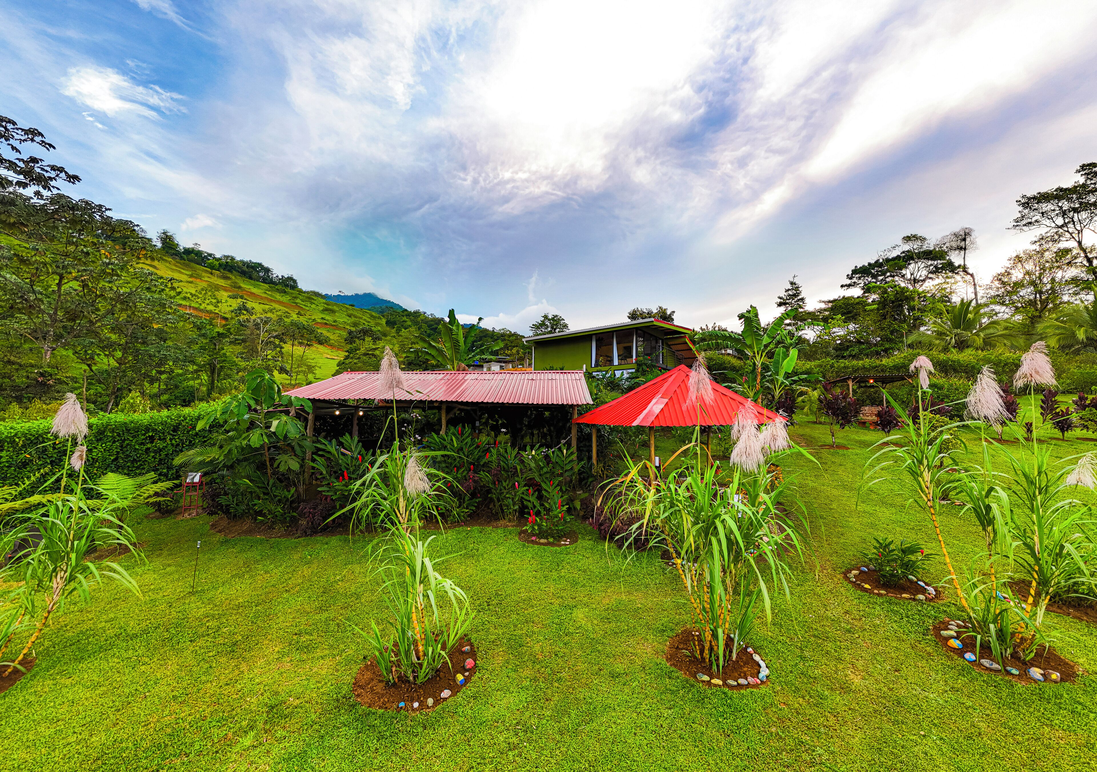 A lush garden with a house, red umbrellas, and tropical plants.