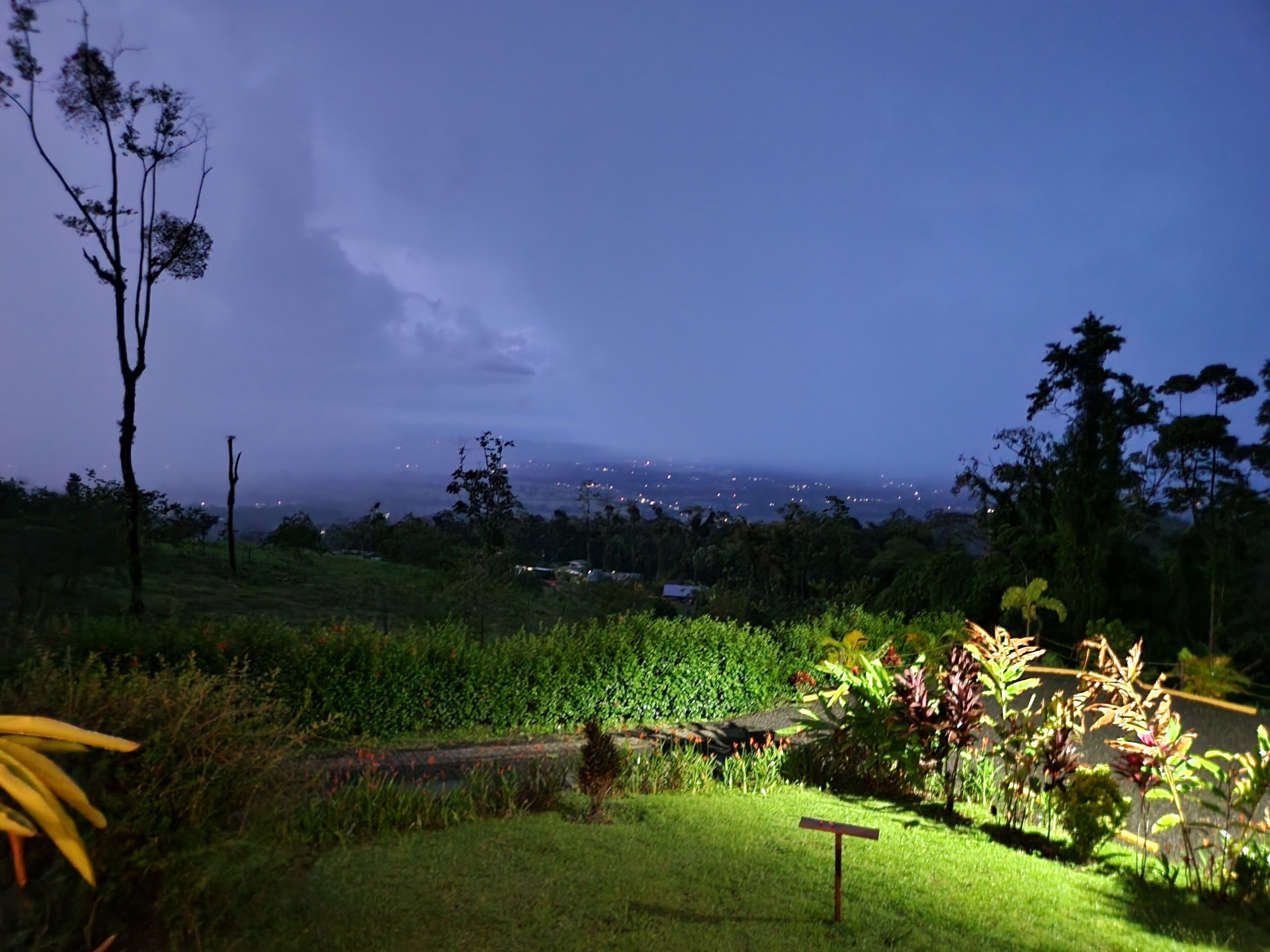Vista nocturna de un área ajardinada con un poste de señalización, árboles y un paisaje urbano lejano.