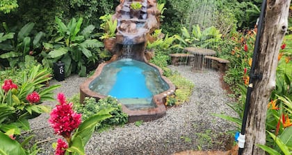 Cabañas Caeli Rainforest Glass Cabin La Perezosa La Fortuna