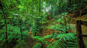 Hiking