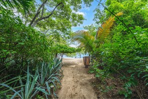 Un sentier menant à une plage, bordé d’une végétation tropicale luxuriante.