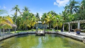 Piscina cercada por palmeiras e um edifício com fachada de vidro.