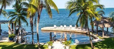 المنطقة المحيطة بالمنشأة