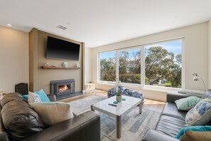 Smart TV, fireplace, DVD player, books