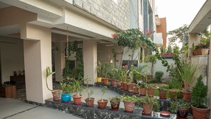 Un patio con diversos maceteros colocados sobre un borde de piedra.