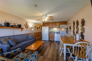 TV - Perfect for families EZ location (Snowshoe)