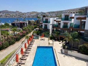Terras