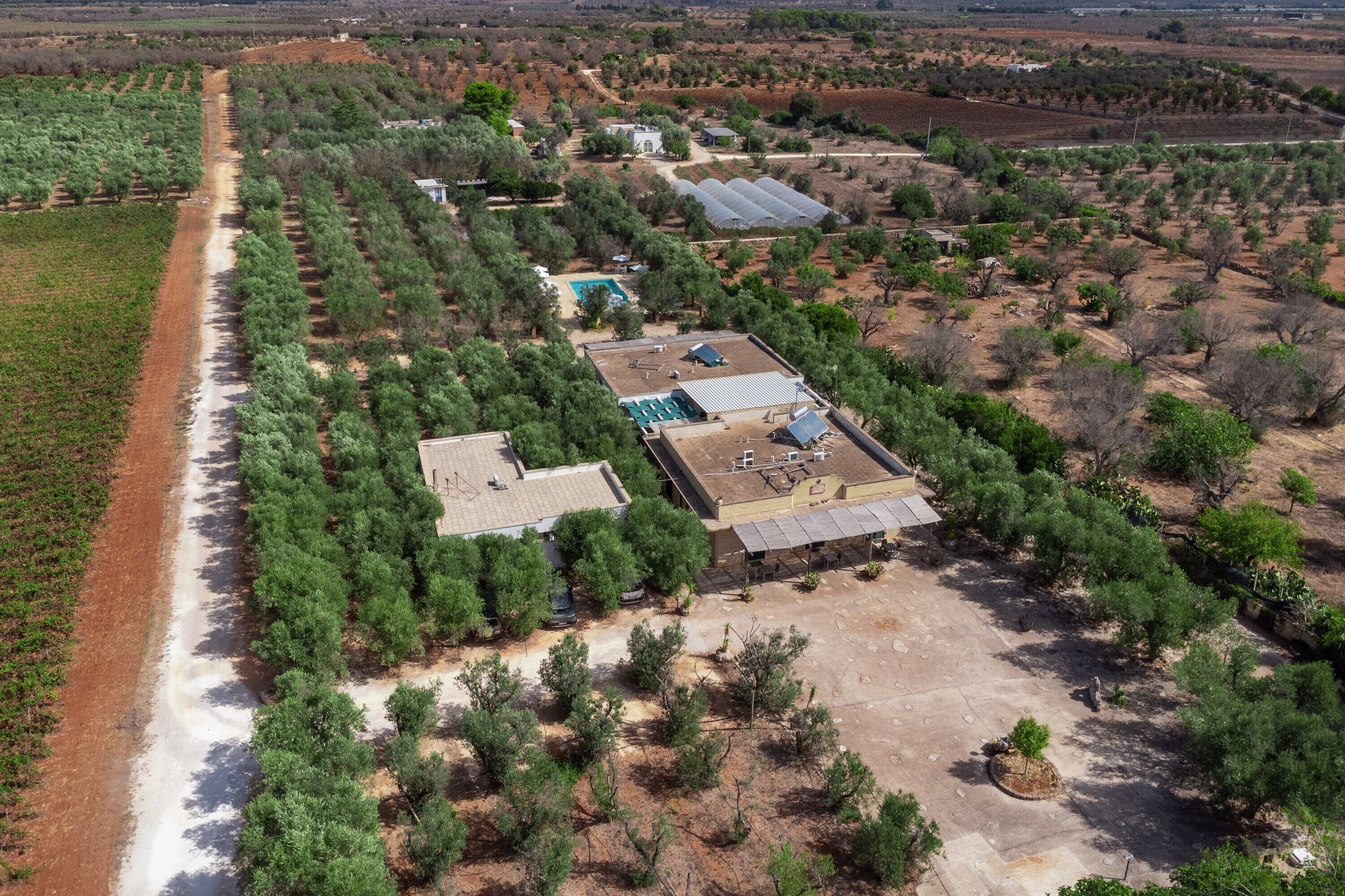 Vista aerea di una struttura circondata da filari di alberi, con una piscina e pannelli solari.