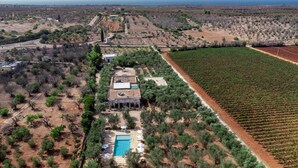 Vista aérea de una propiedad con piscina, viñedo y un edificio de techo plano.