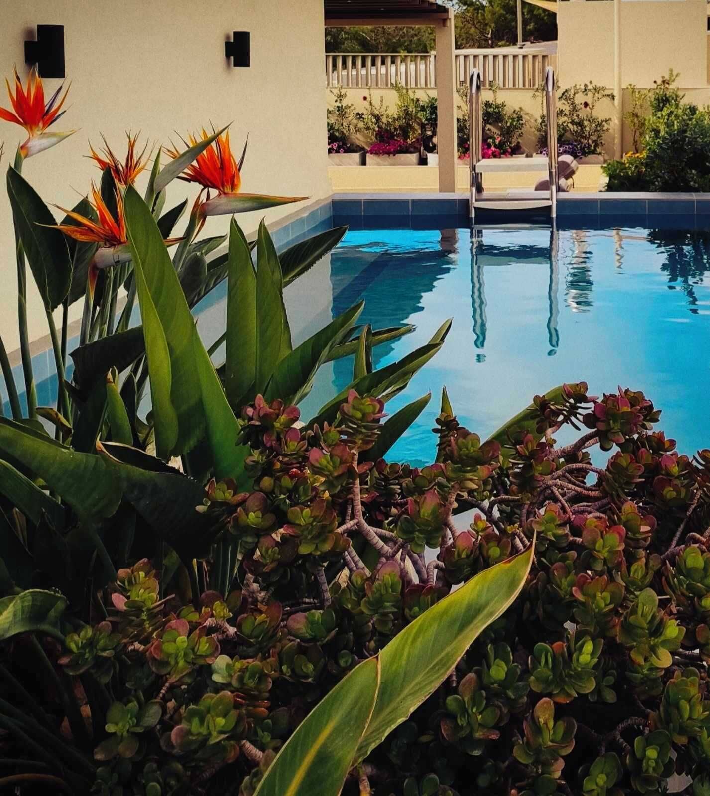 Una piscina rodeada de plantas y un área de descanso techada.