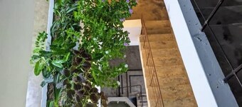 Flamingo Guest House