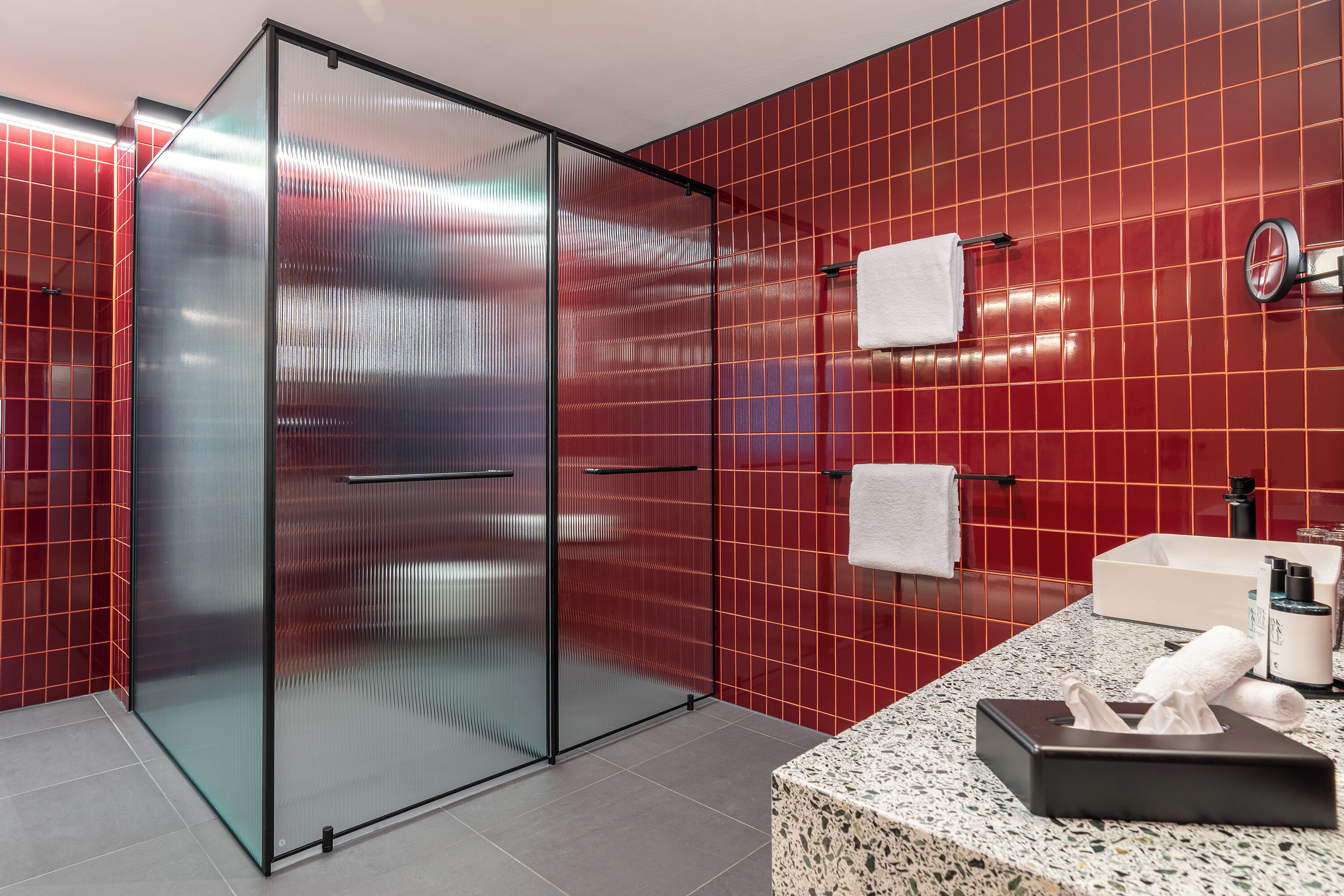 A modern bathroom with a glass shower enclosure, red tiled walls, and a granite countertop with a towel warmer and toiletries.