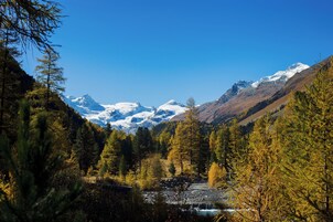 A mountainous landscape with snow-capped peaks, dense forest, and a river.
