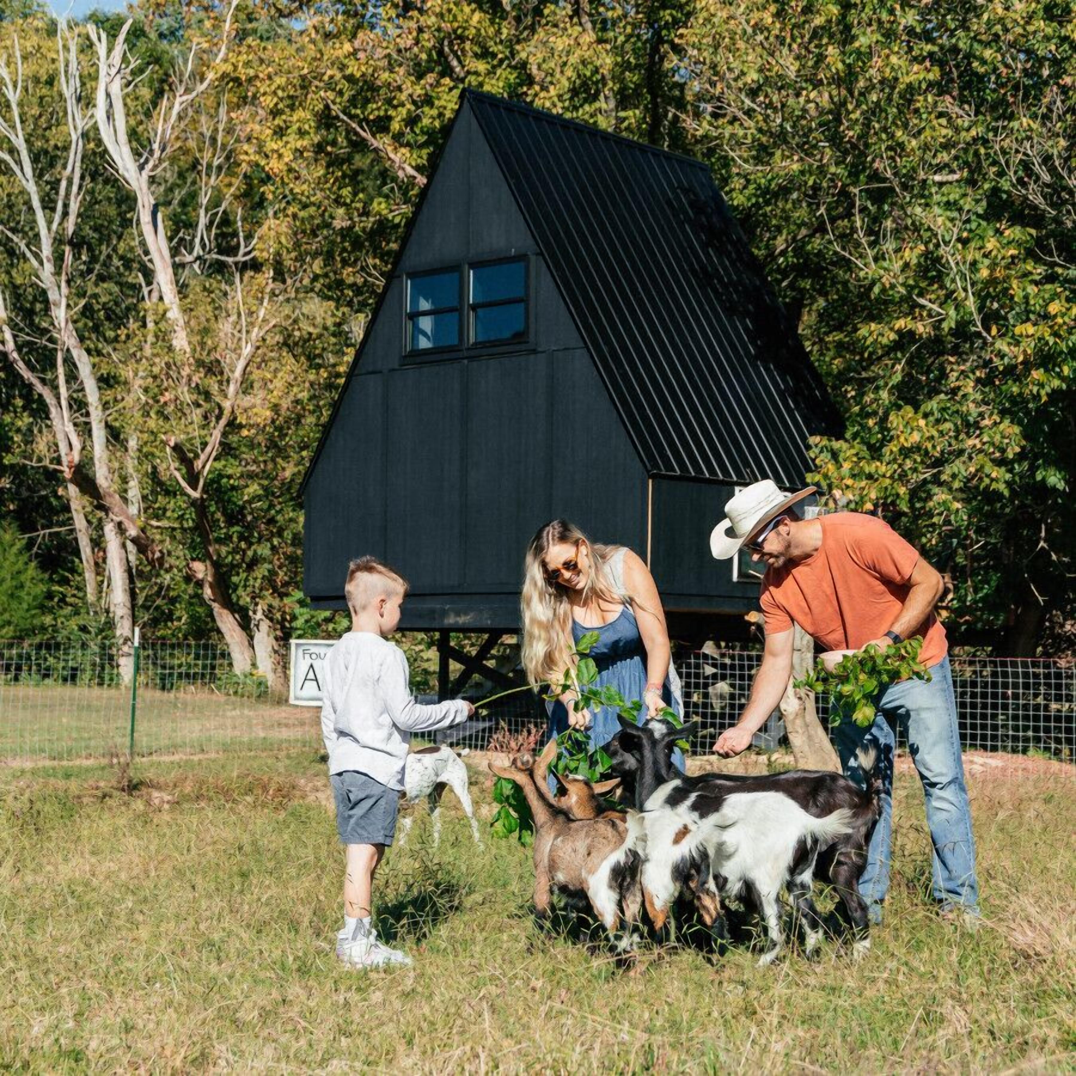 A family interacting with goats in a grassy field with a black house in the background.