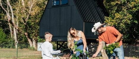 A family interacting with goats in a grassy field with a black house in the background.