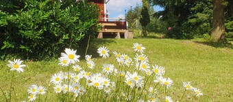 Vacation home Beerberg, cozy vacation home at the biosphere reserve Thuringian Forest