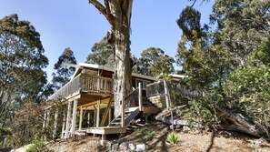 Exterior - Treetop House in Metung (Metung)
