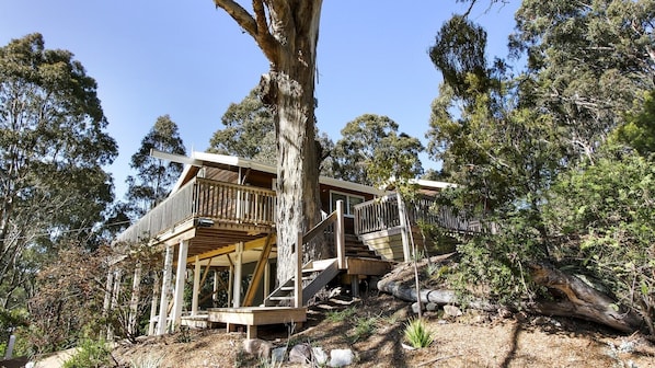 Surrounded by tall trees, this cabin offers a peaceful retreat with a balcony overlooking the forest.