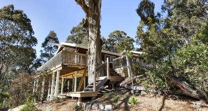 Treetop House in Metung
