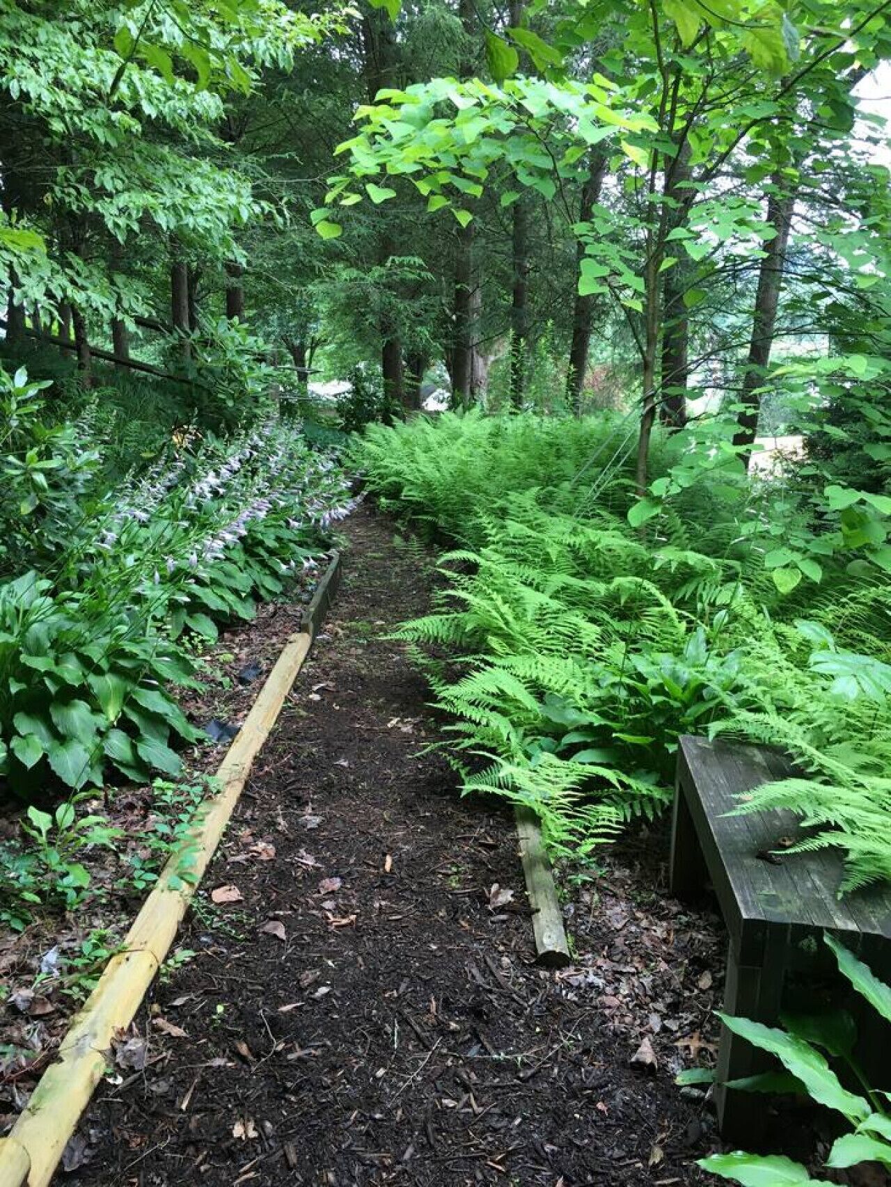 المنطقة المحيطة بالمنشأة