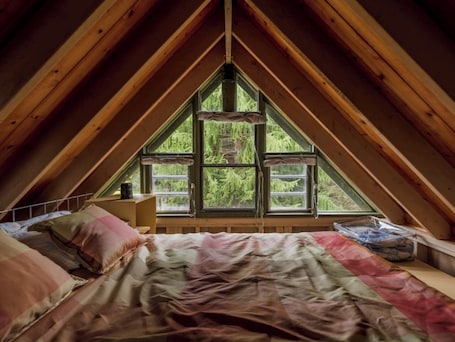 1 bedroom, desk, WiFi, bed sheets. The Nuthatch Cabin; Asheville; Smoky Mtns