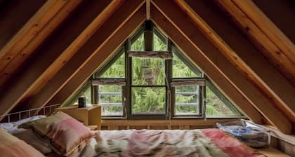 The Nuthatch Cabin; Asheville; Smoky Mtns