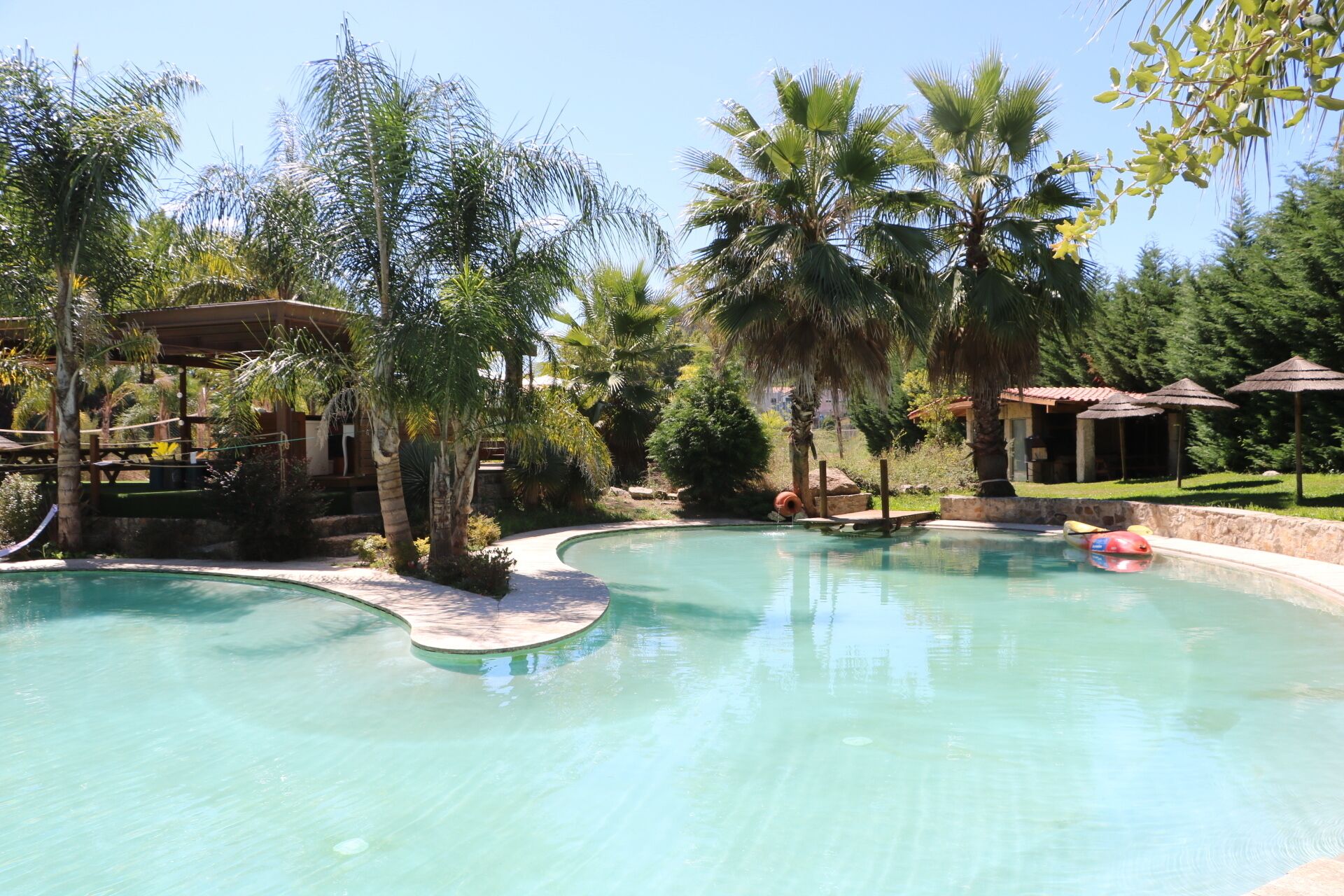 Una piscina rodeada de palmeras y una terraza de madera.