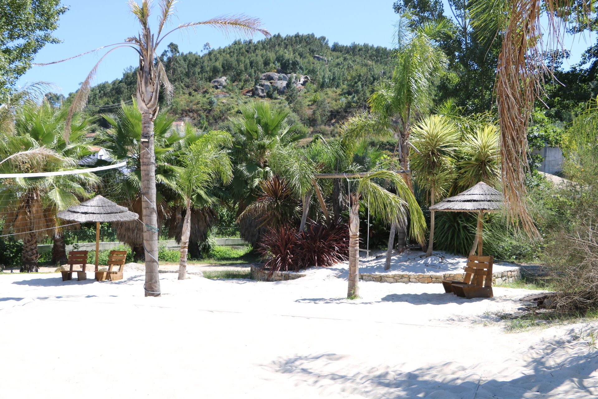 A beach area with thatched umbrellas, wooden benches, and palm trees.