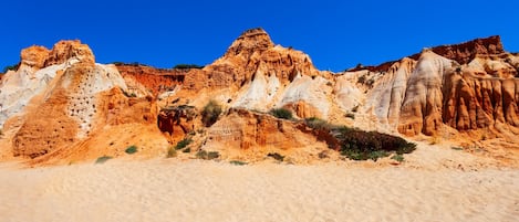 منوع