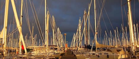 Marina