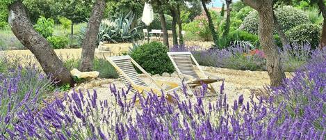 Terrein van de accommodatie