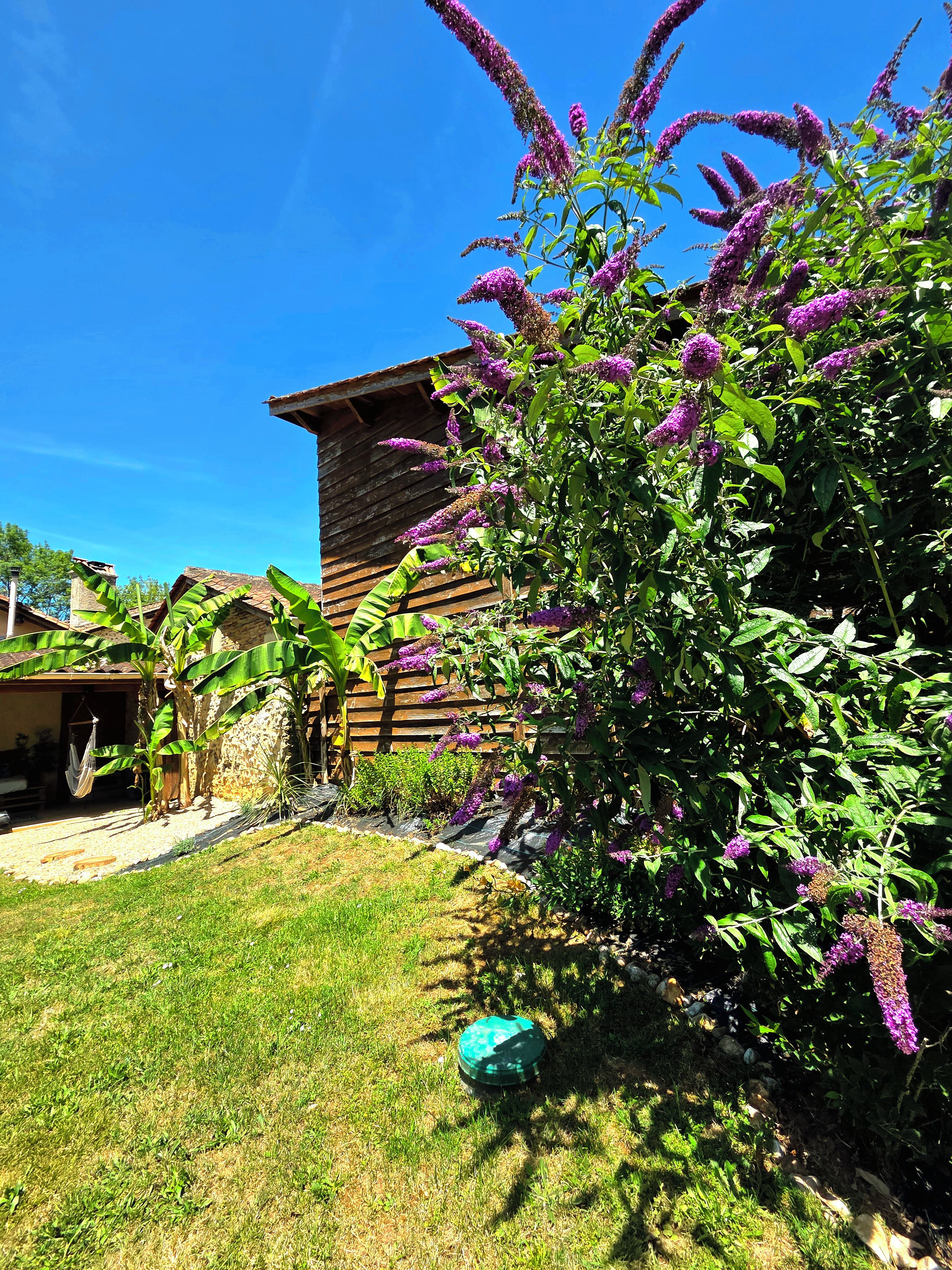A residential property with a well-maintained lawn, a wooden fence, and a house with a sloped roof.