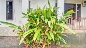 Gambar tidak terklasifikasi, 4 dari 29, tombol