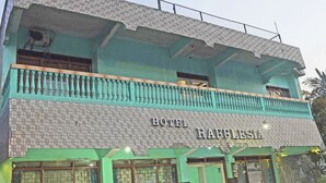 A hotel named "RAFFLESIA" with a green facade, large windows, and a balcony with balustrades. - Capital O 92958 Hotel Raflessia Syariah (Lawang Kidul)