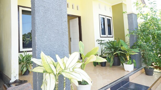 A building entrance with a yellow facade, large columns, potted plants, and a tiled floor.