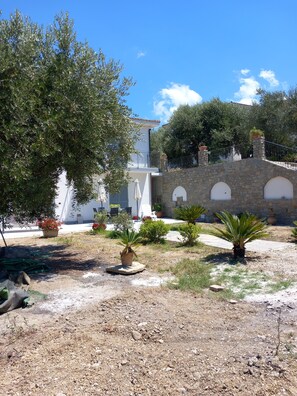 المنطقة المحيطة بالمنشأة