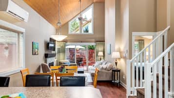 Smart TV, fireplace, books